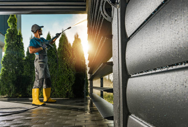 Best Sidewalk and Walkway Cleaning  in Clayco, MO